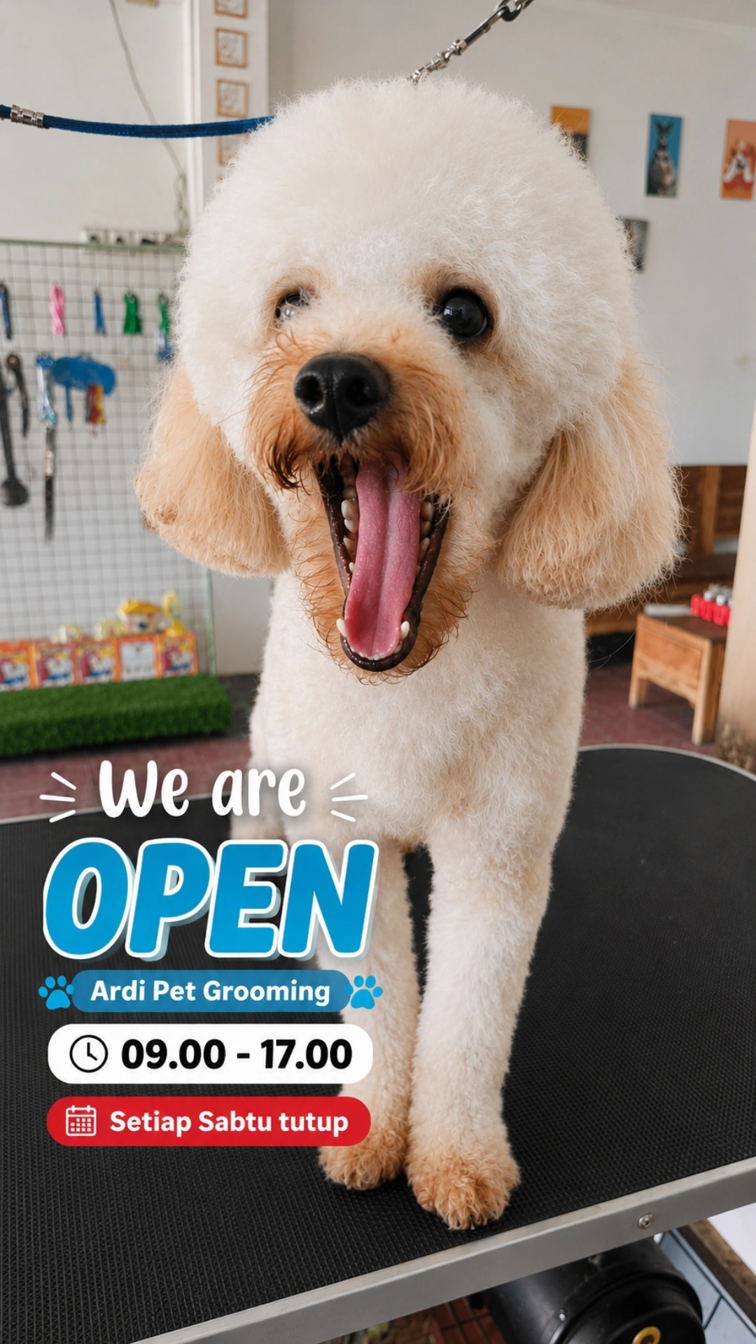 Jadwal operasional Ardi Pet Grooming